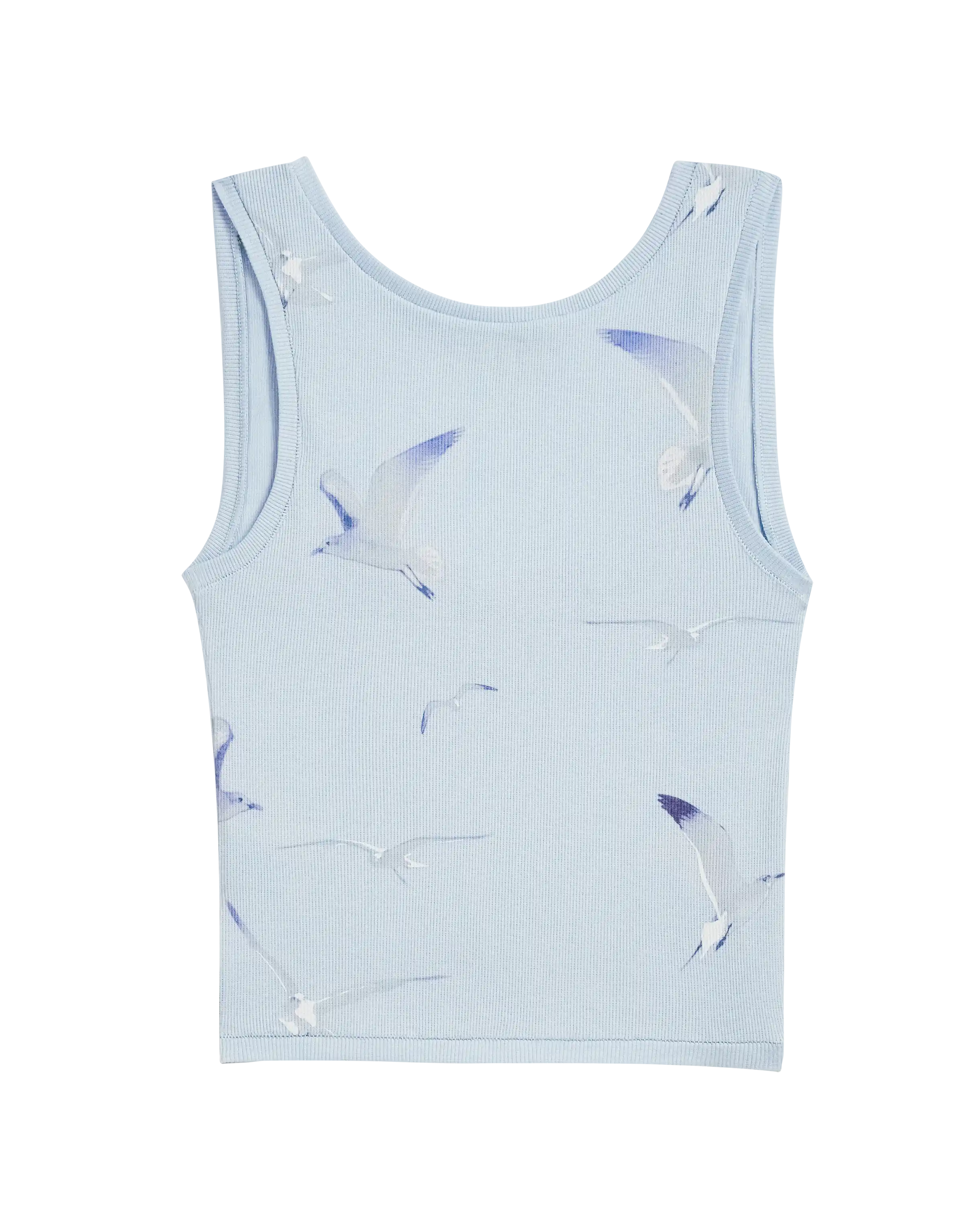 1993 Blue Seagull Tank back