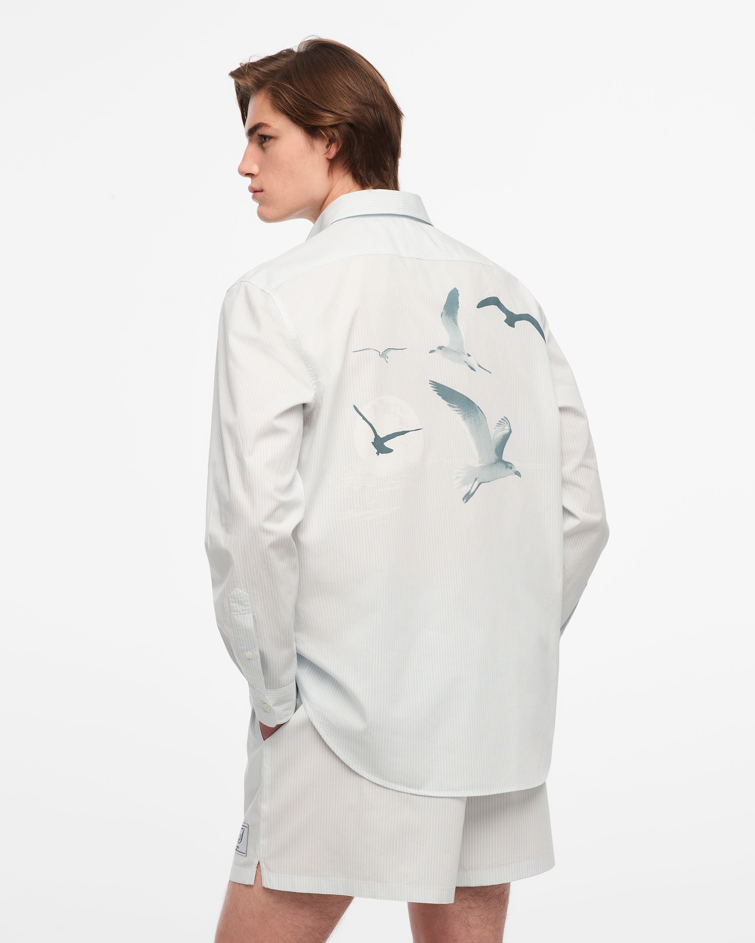 1989 (Taylor’s Version) Seagull Blue Stripe Poplin Shirt L model back