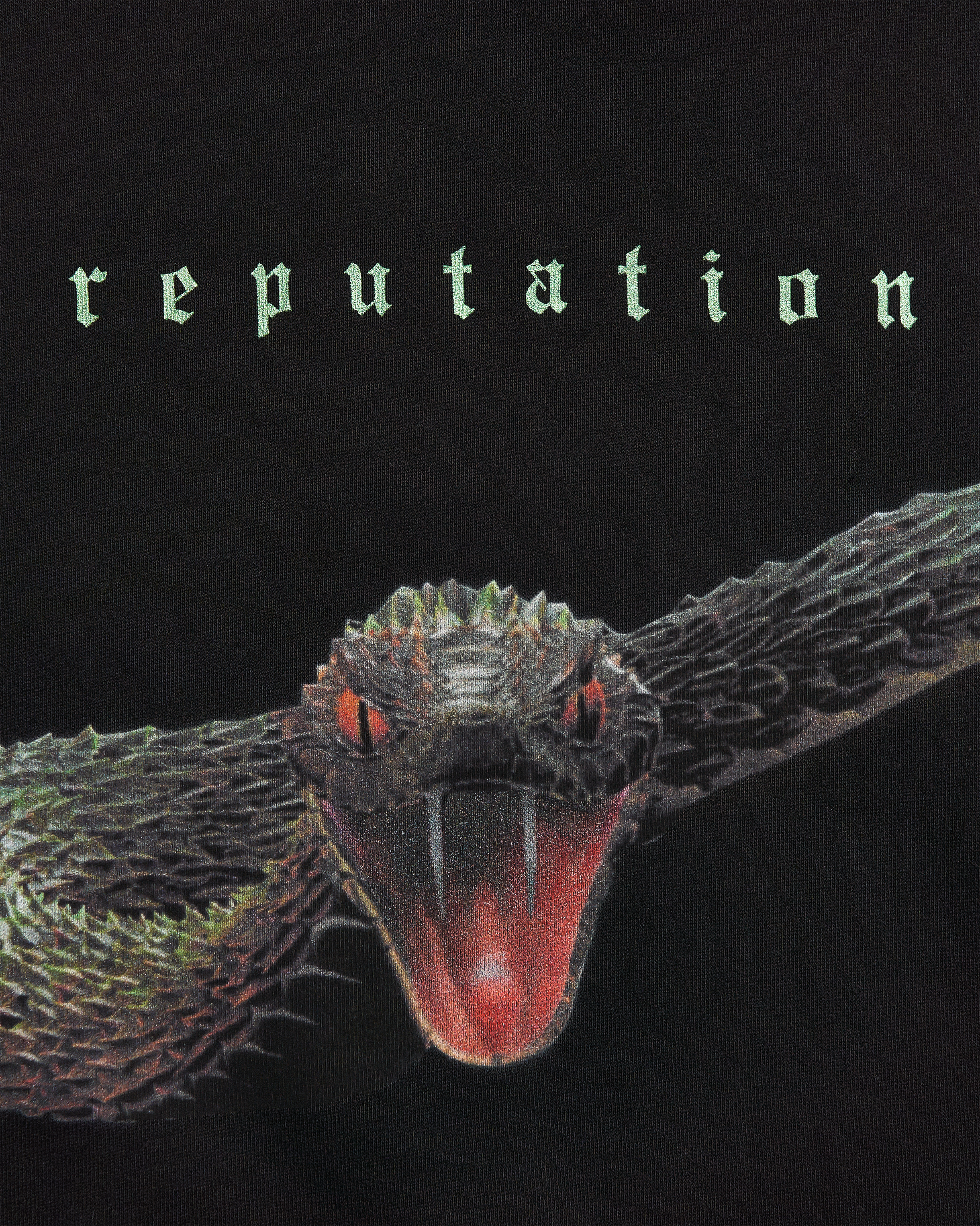 Reputation Album Snake Hoodie detail