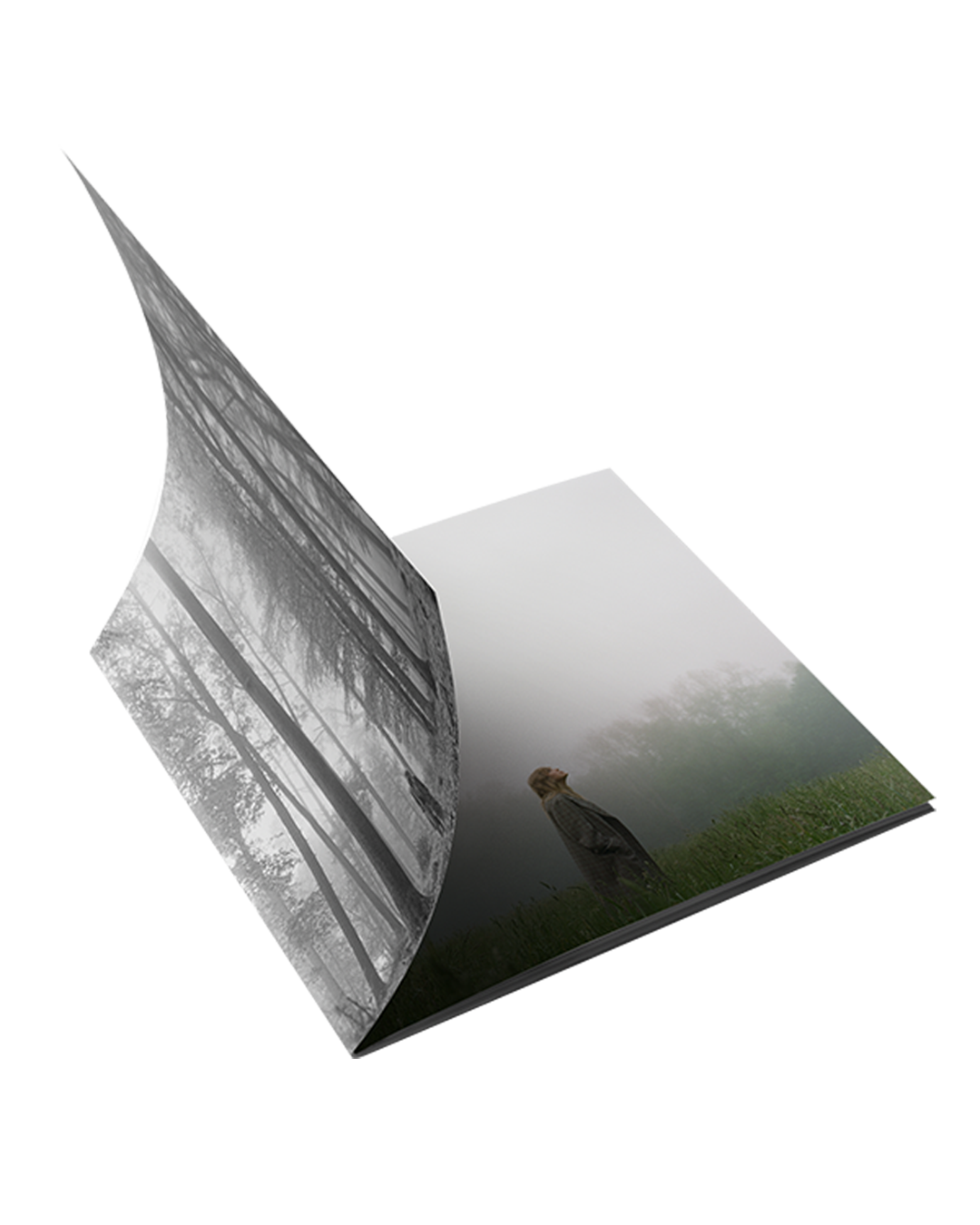 1. the "in the trees" Edition Deluxe CD (Clean) open