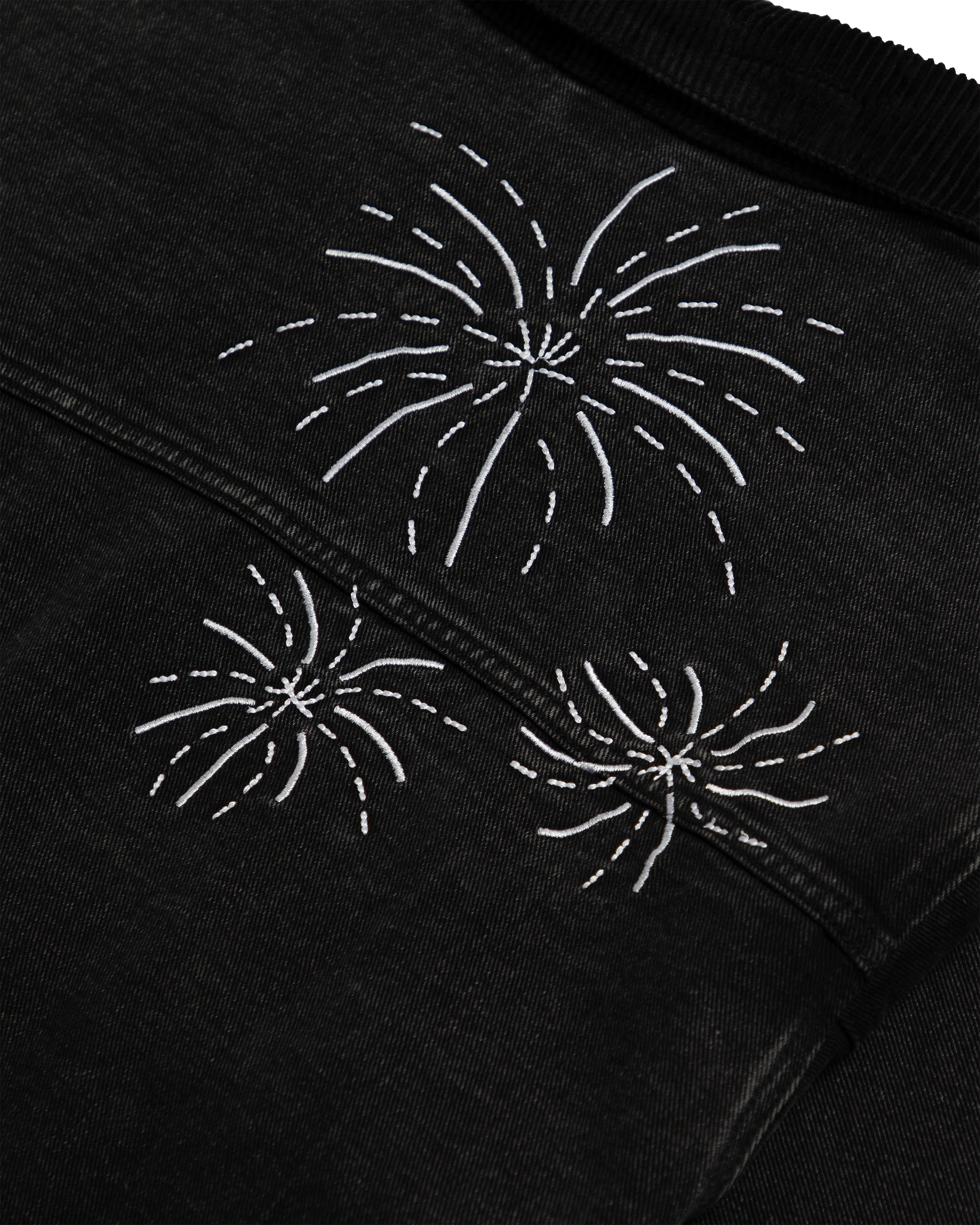 Speak Now (Taylor's Version) Jacket sparks detail