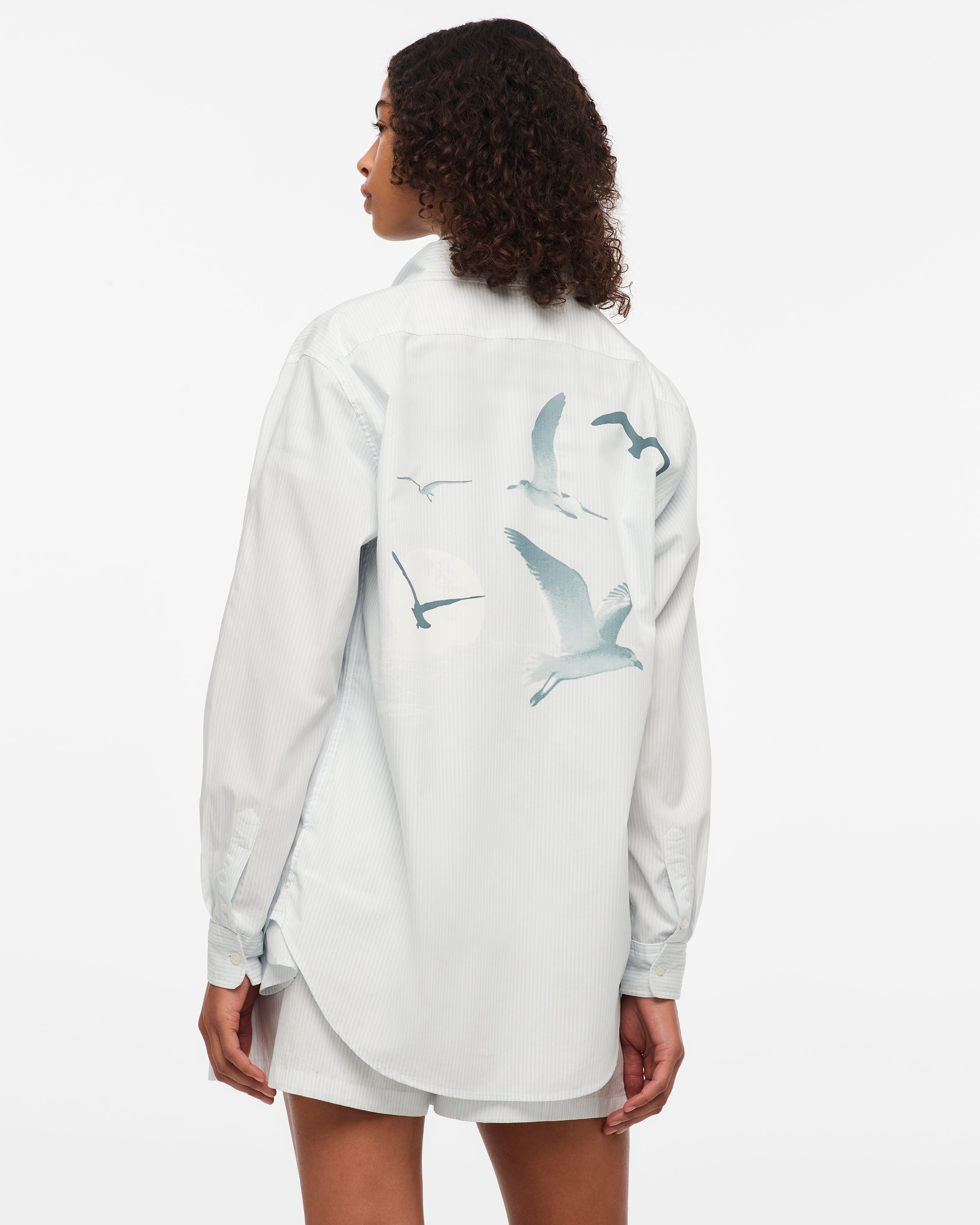 1989 (Taylor’s Version) Seagull Blue Stripe Poplin Shirt S model back