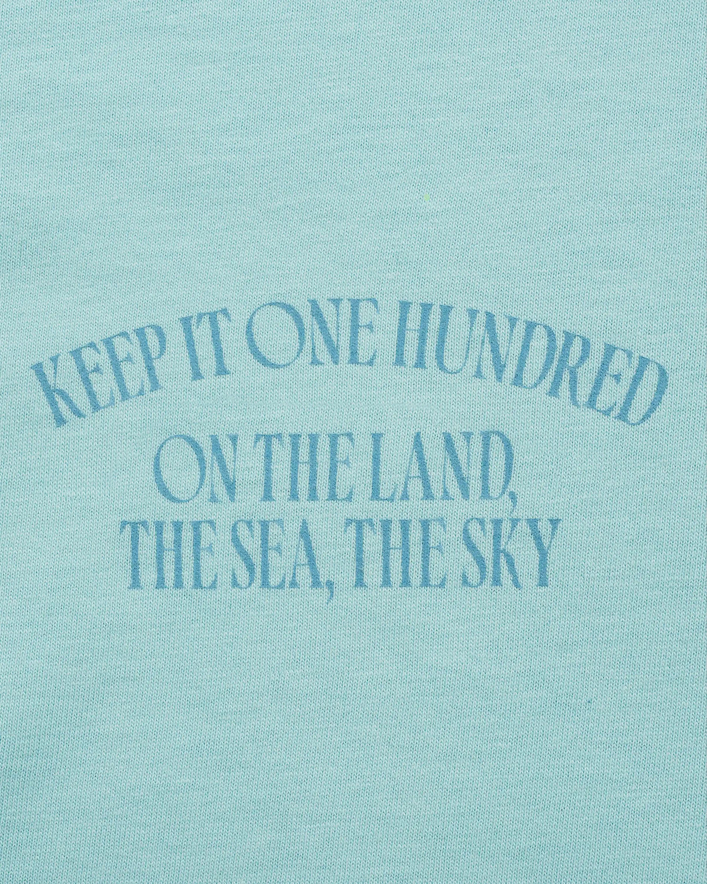 The Fate of Ophelia Cropped Polo lyrics detail