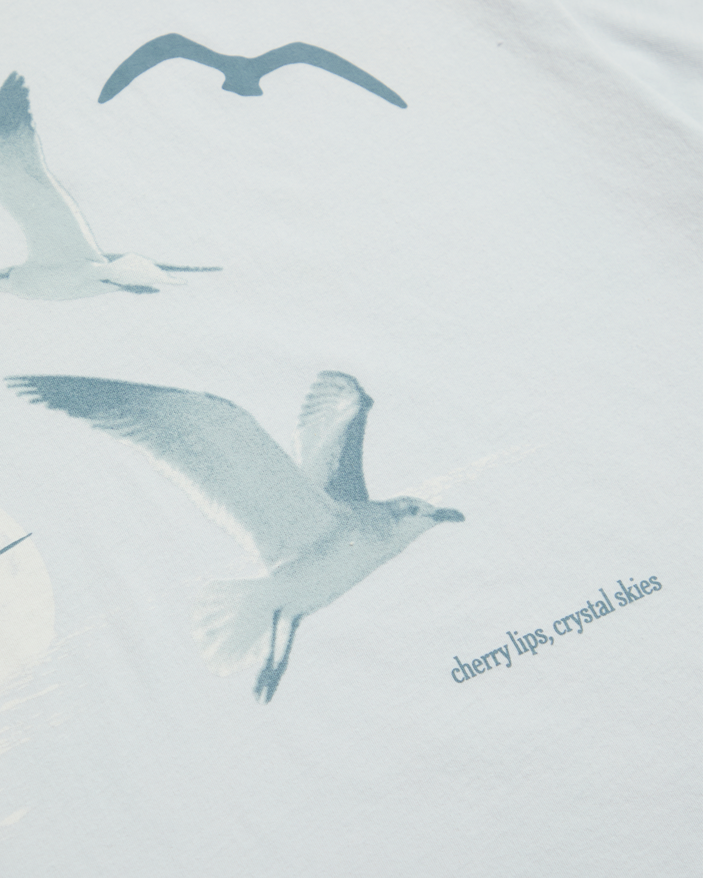 1989 (Taylor’s Version) Seagull Boxy T-Shirt 2XL model full length detail
