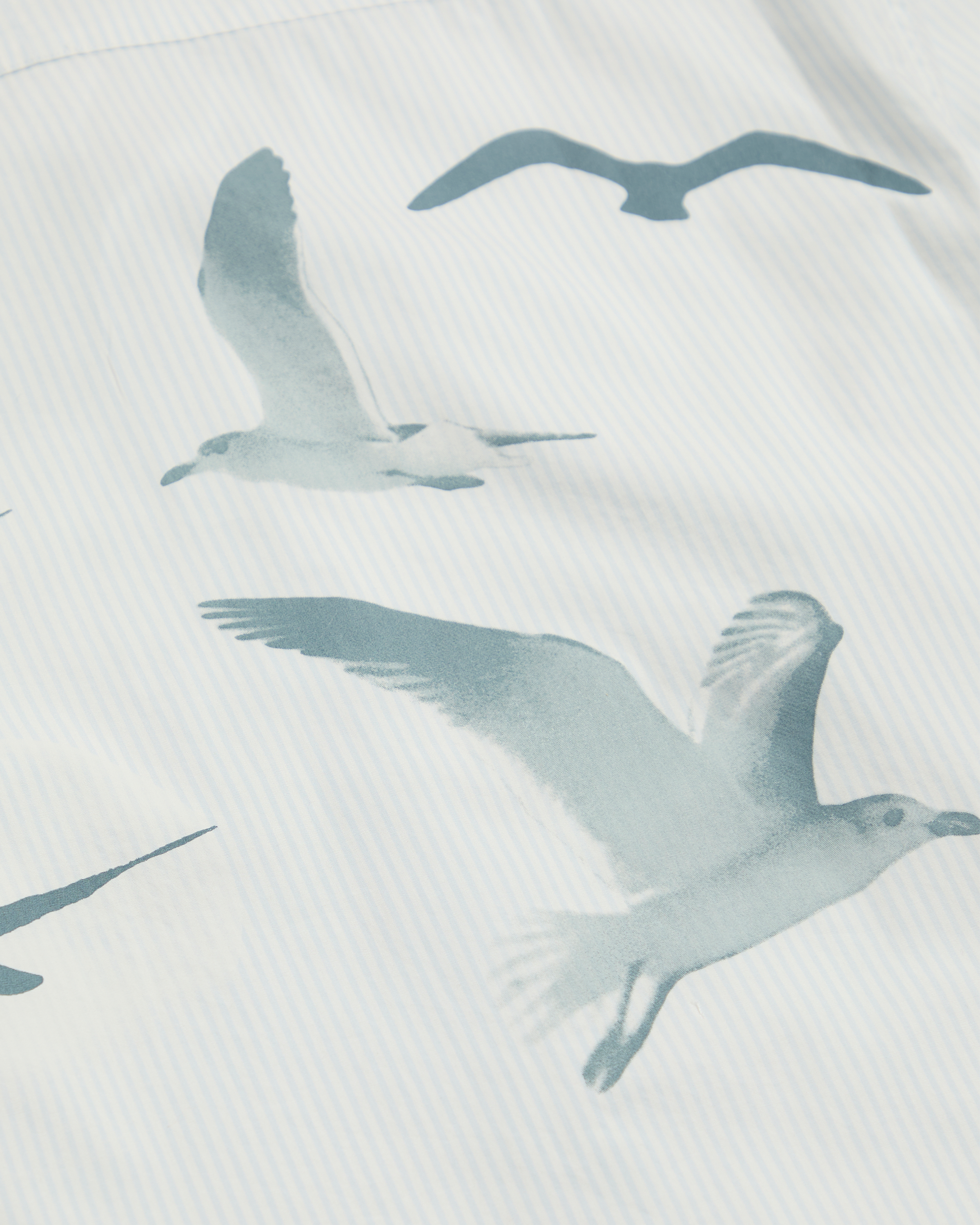 1989 (Taylor’s Version) Seagull Blue Stripe Poplin Shirt detail