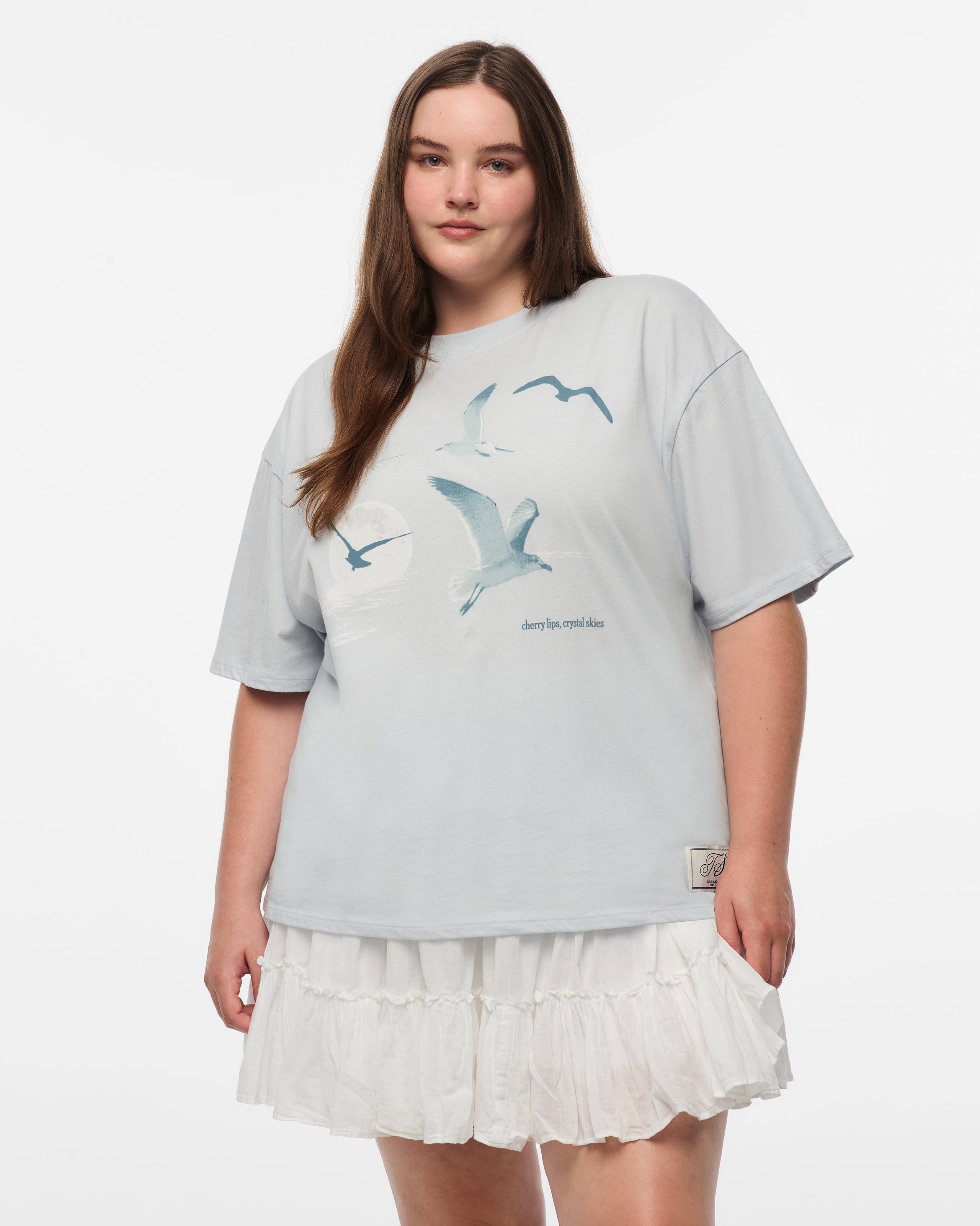 1989 (Taylor’s Version) Seagull Boxy T-Shirt 2XL model close up
