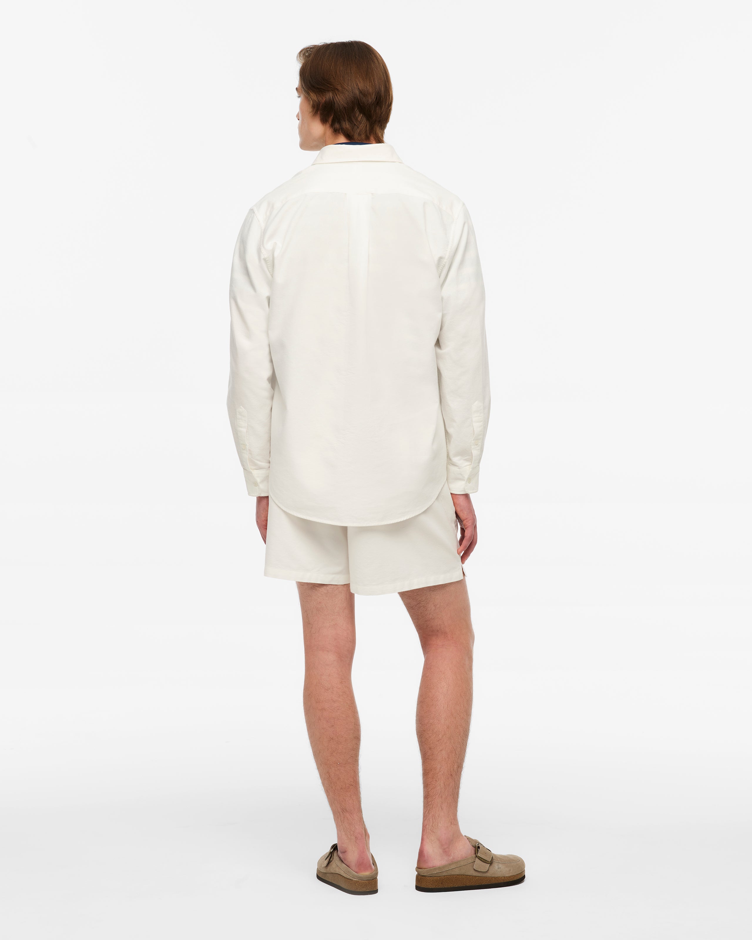 TS Crest White Oxford Shorts L model back
