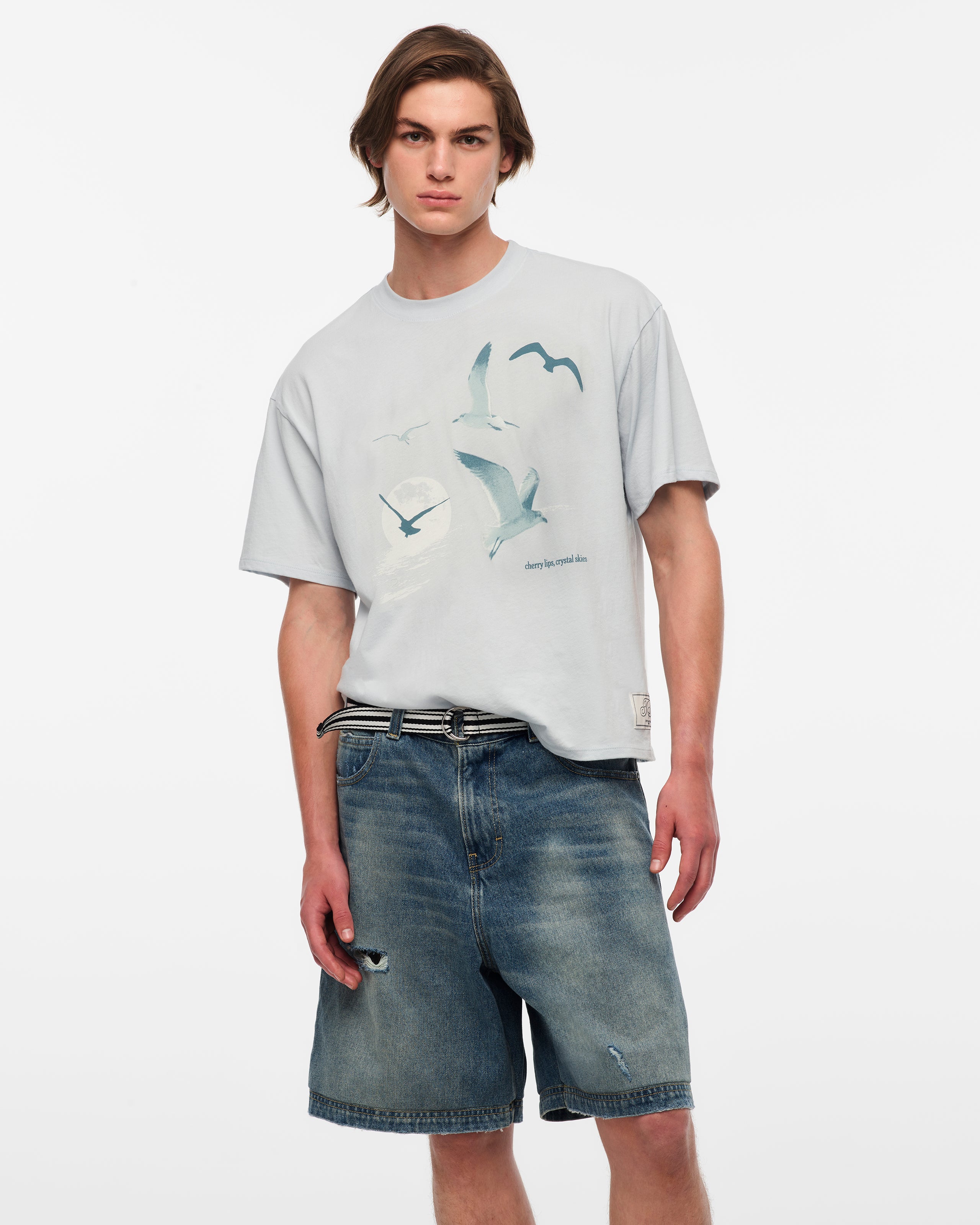 1989 (Taylor’s Version) Seagull Boxy T-Shirt L model close up