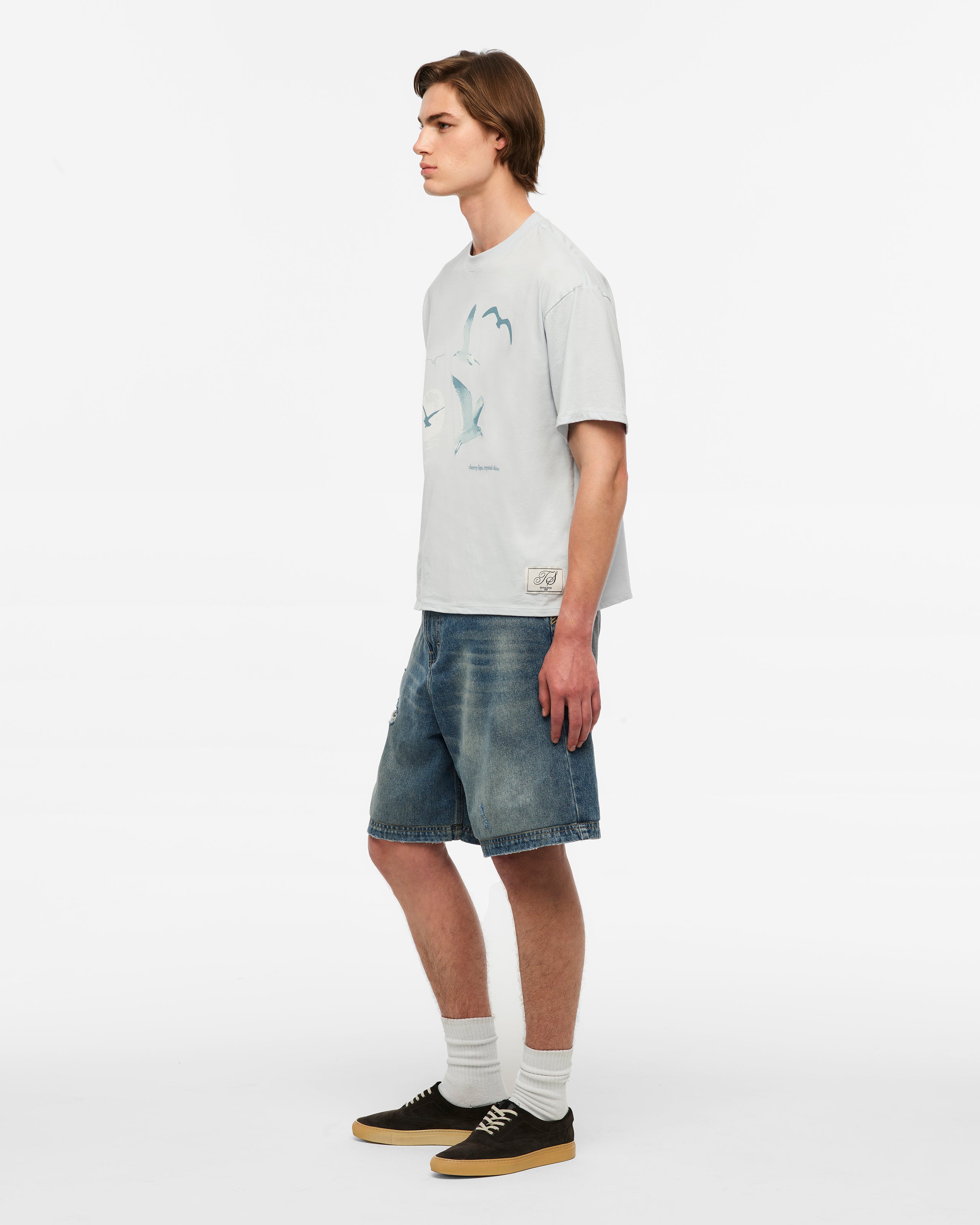 1989 (Taylor’s Version) Seagull Boxy T-Shirt L model side