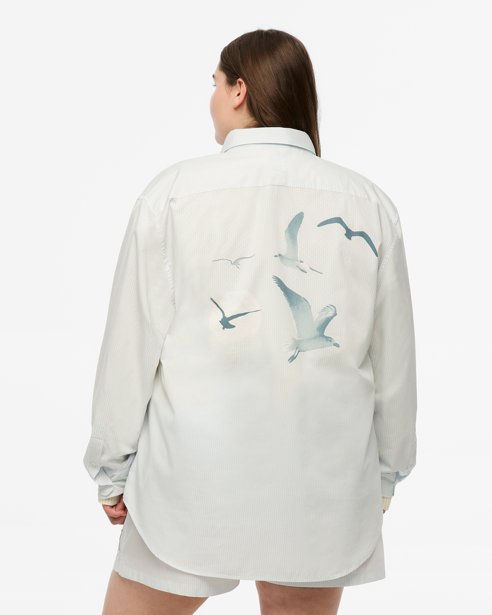 1989 (Taylor’s Version) Seagull Blue Stripe Poplin Shirt 2XL model back