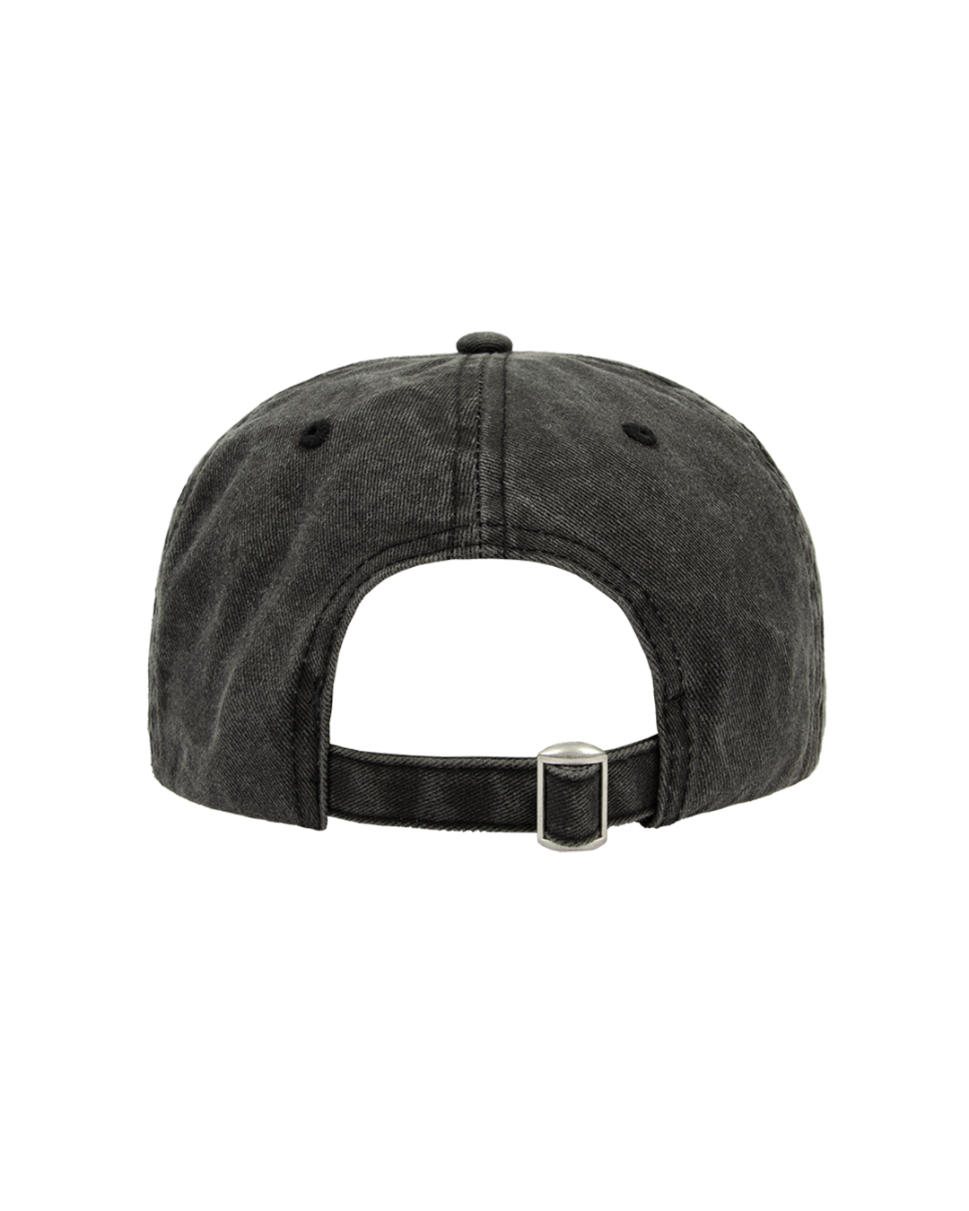 TS Washed Black Dad Hat back