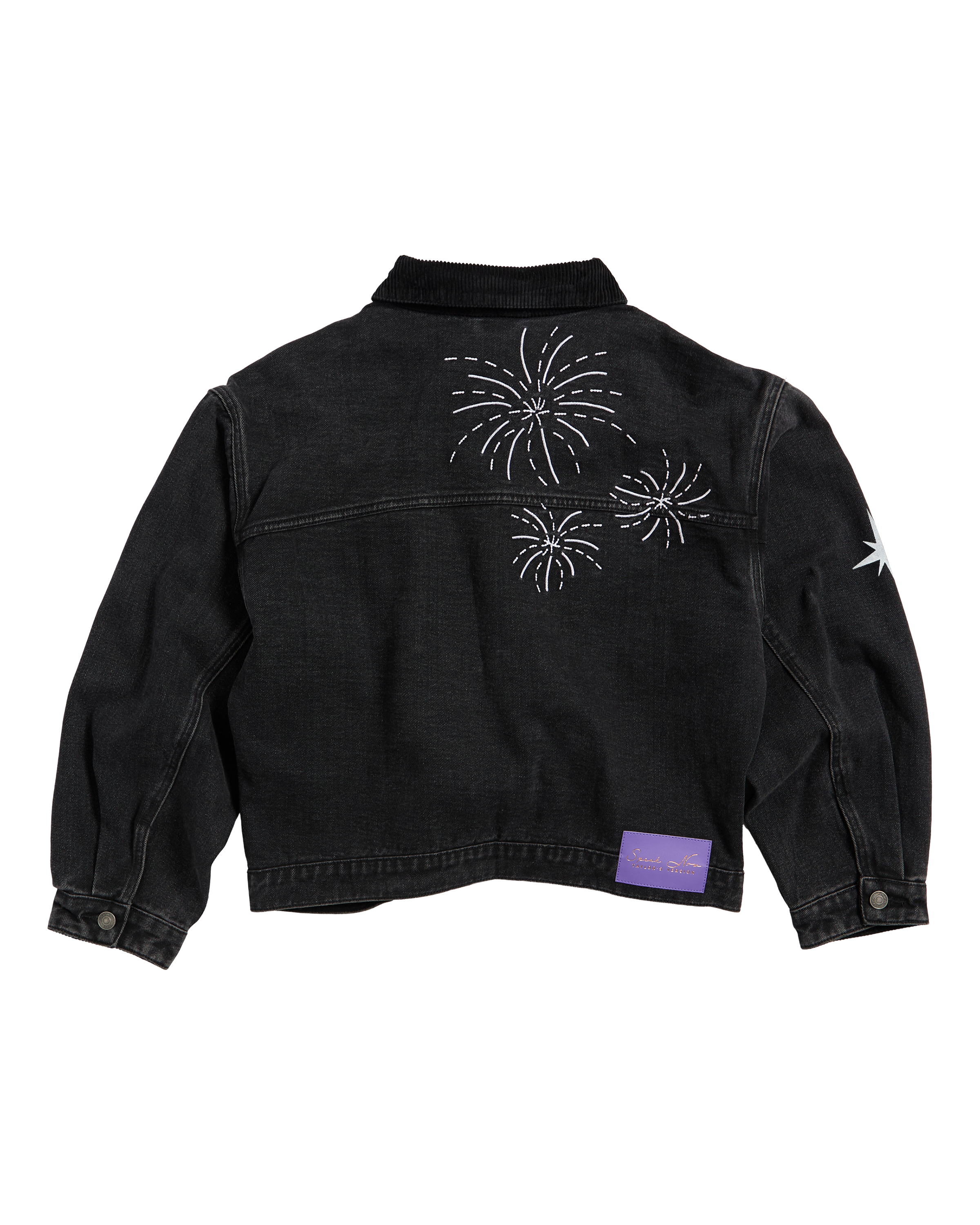 Speak Now (Taylor's Version) Jacket back