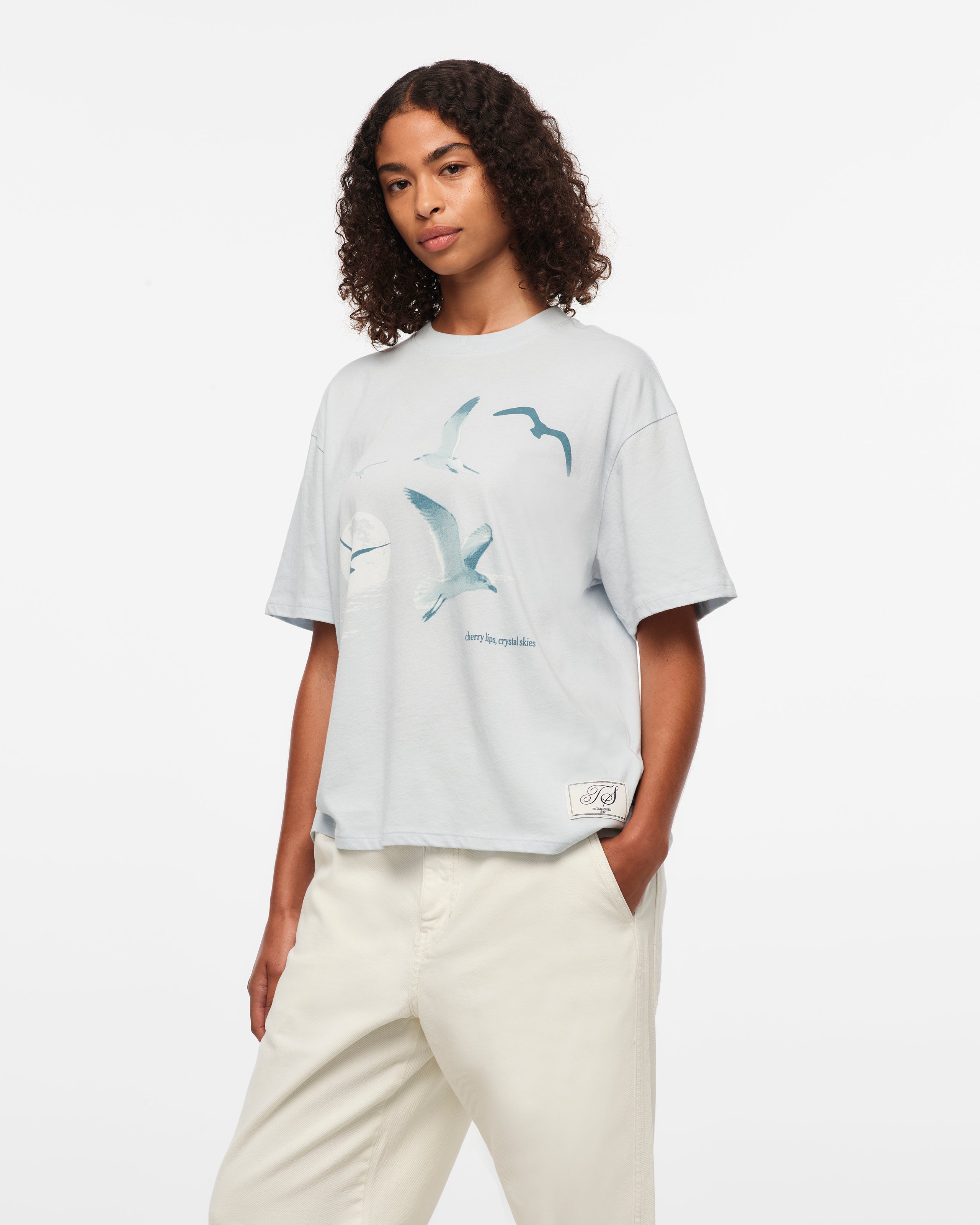 1989 (Taylor’s Version) Seagull Boxy T-Shirt S model close up